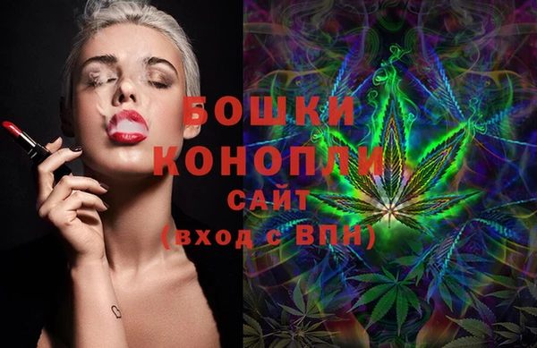 ECSTASY Богданович