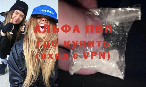 ECSTASY Богданович