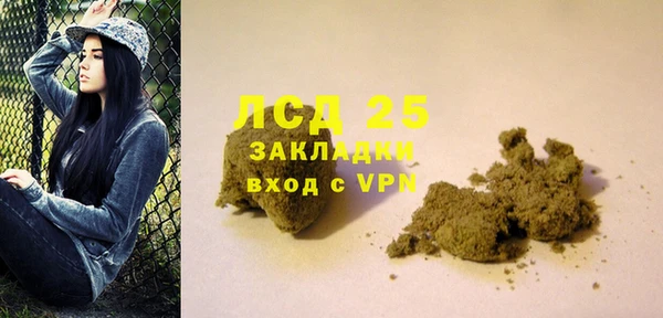 ECSTASY Богданович