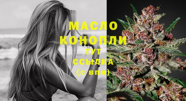 ECSTASY Богданович