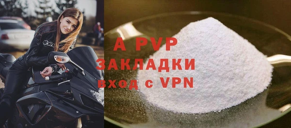 ECSTASY Богданович
