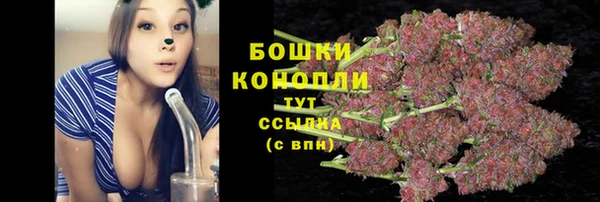 ECSTASY Богданович